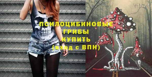 экстази Пестово