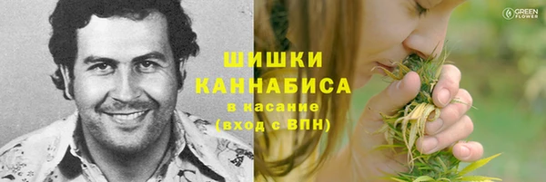 крисы Переславль-Залесский