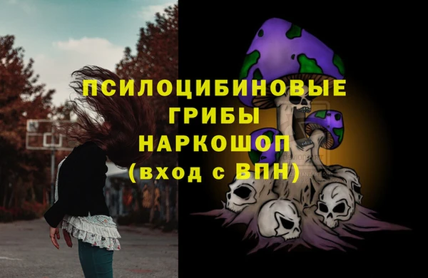 экстази Пестово