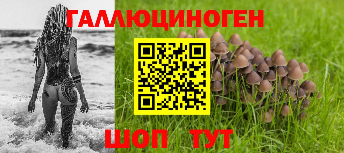 Псилоцибиновые грибы Cubensis Верхняя Салда