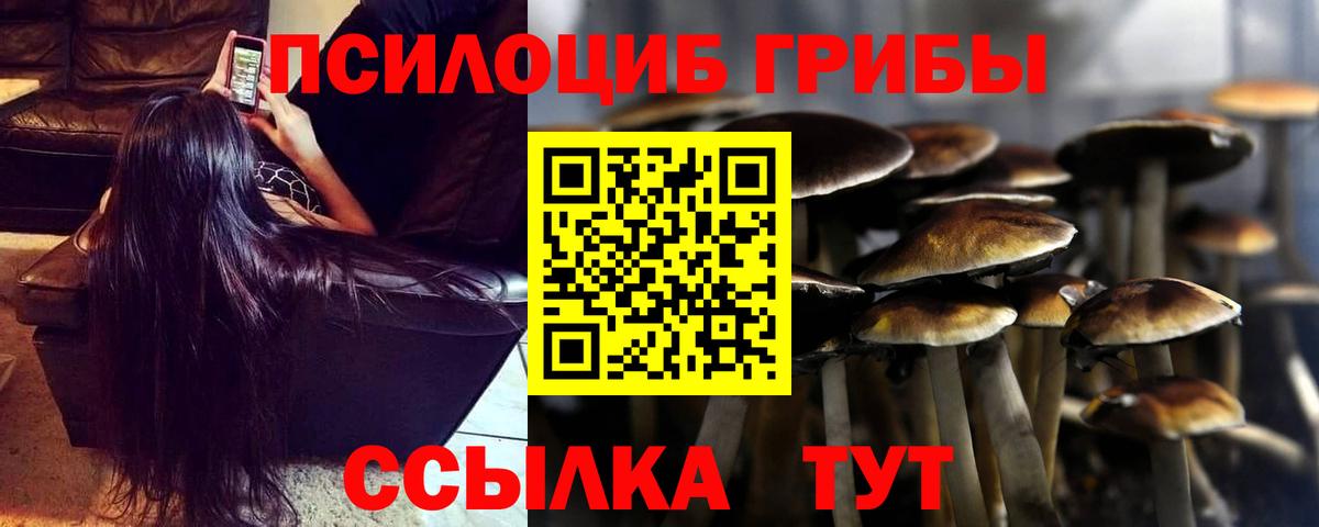 Галлюциногенные грибы прущие грибы  Псилоцибиновые грибы Psilocybe  Вход с VPN  Верхняя Салда 