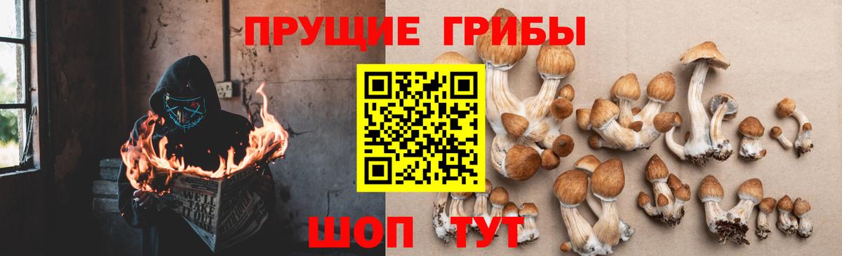 Галлюциногенные грибы мухоморы Верхняя Салда